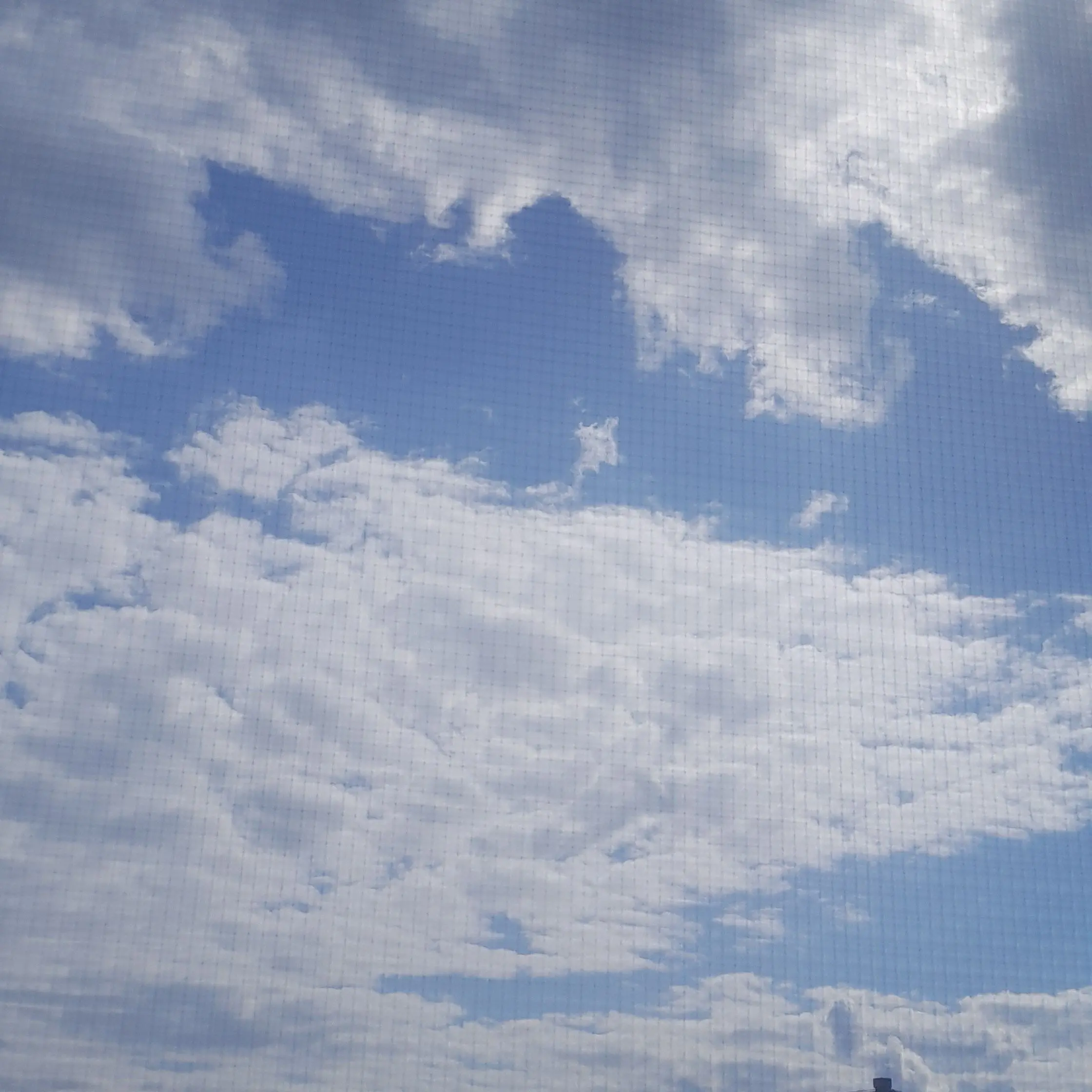 FoulBelt2365의 오지율 이수연 황민호 박소이