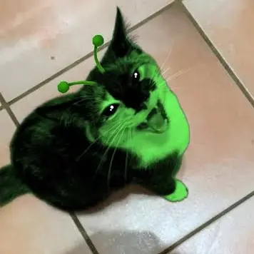 Profile image of Alien Cat
