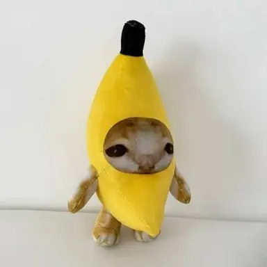 Profile image of Banana Cat