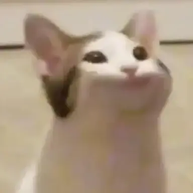 Profile image of Pop Cat