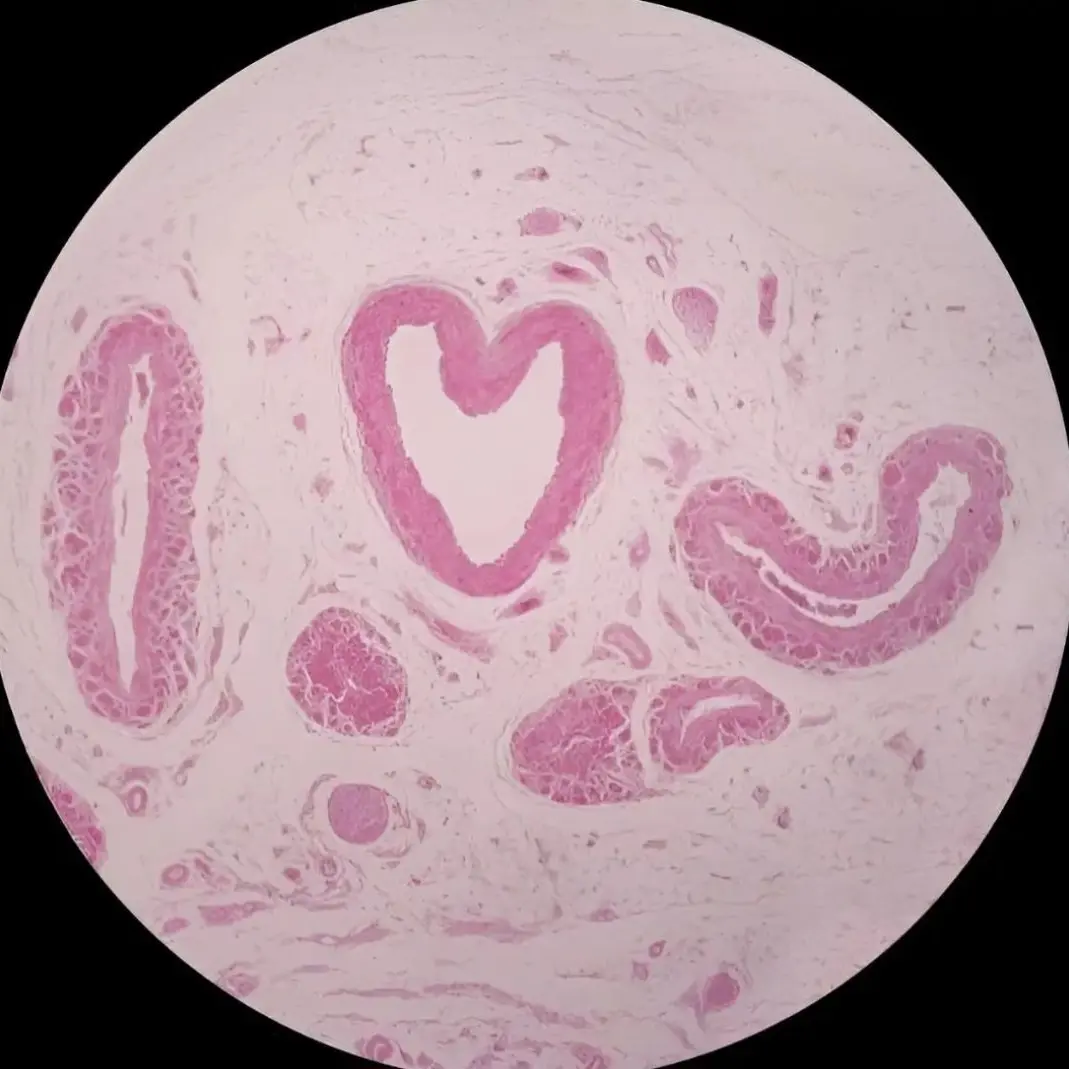 yumyum914의 김이상