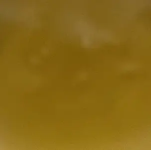 Profile image of 덕개