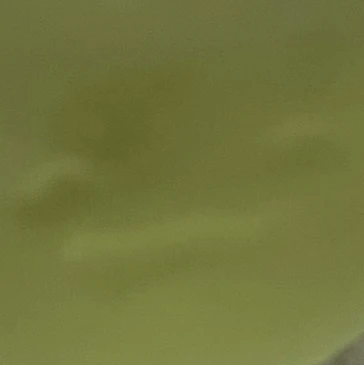 공룡