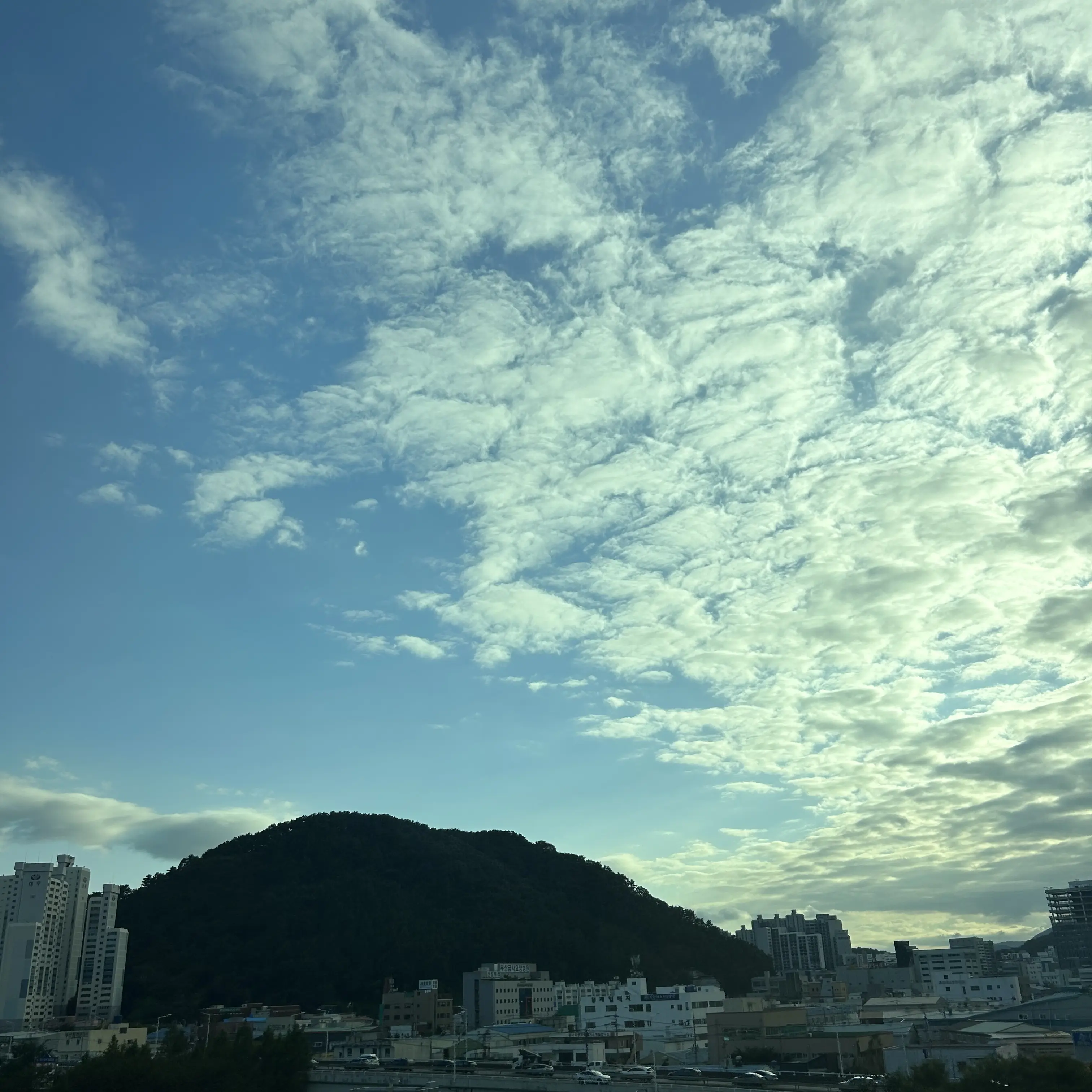 yxu3eo_의 쌍둥이 이찭