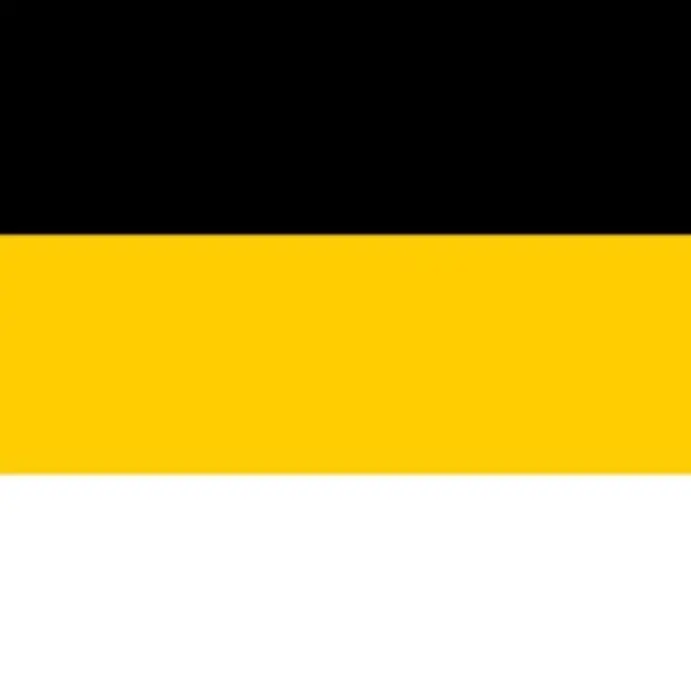 Sa.25ya1001의 露帝