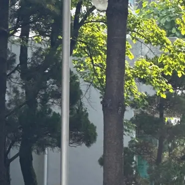 UsefulSkunk7241의 찐친 동민님