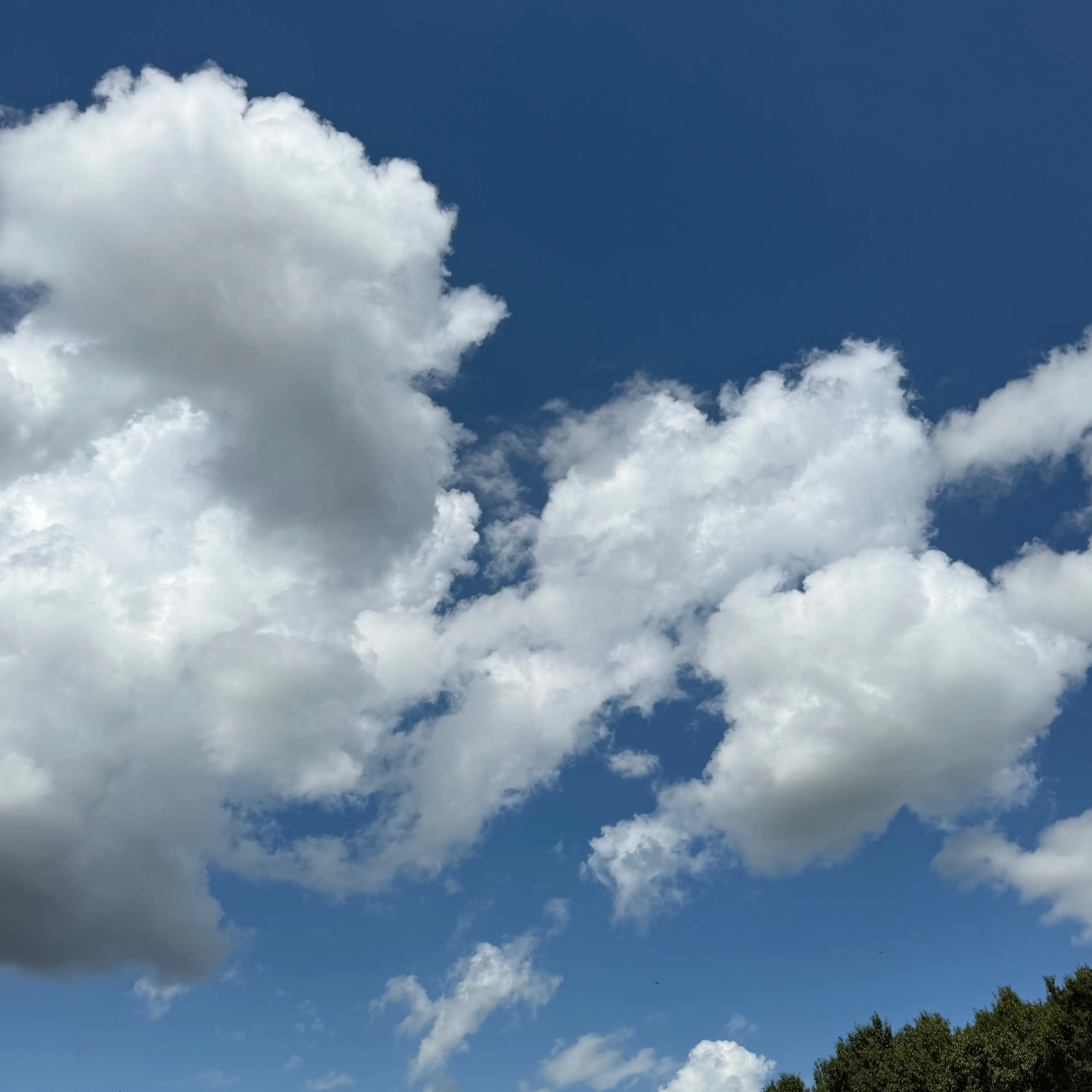 HandyQuake2423의 방울이를 좋아하는 삼대천왕을 꼬셔라!