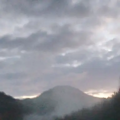 Profile image of 氷織羊