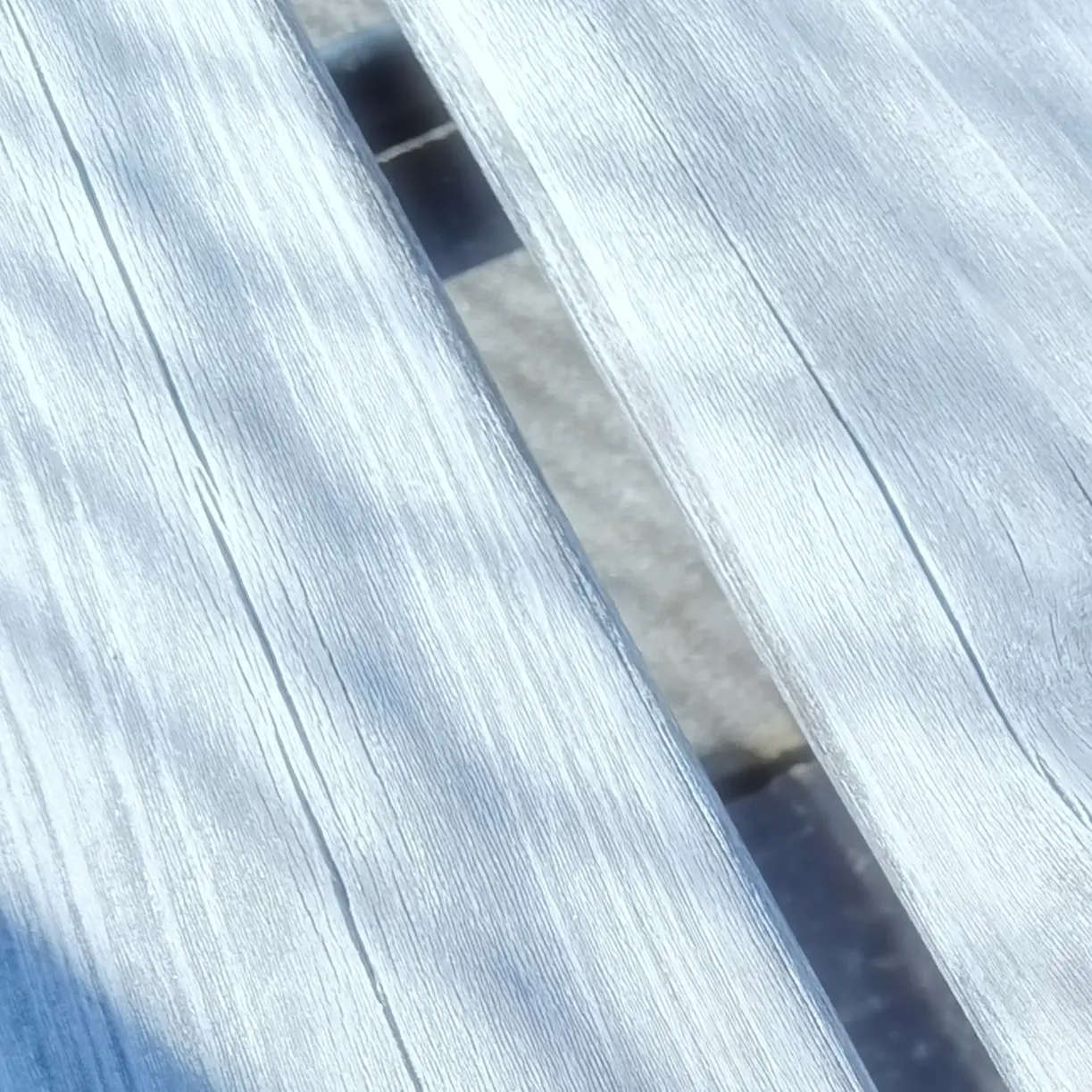 SuperbScrew8331의 三角関係