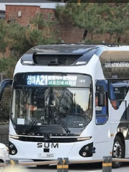 PeachyTape9157의 한국버스 가족인데 여우가있다....!