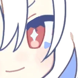 류