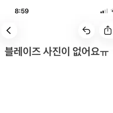 Profile image of 블레이즈