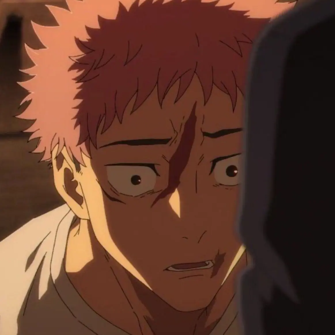 Yuuji11210의 이타도리 유지