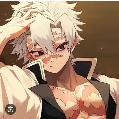 Profile image of 시나즈가와 사네미