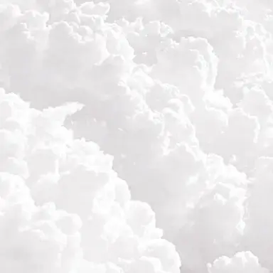 Profile image of 벨키