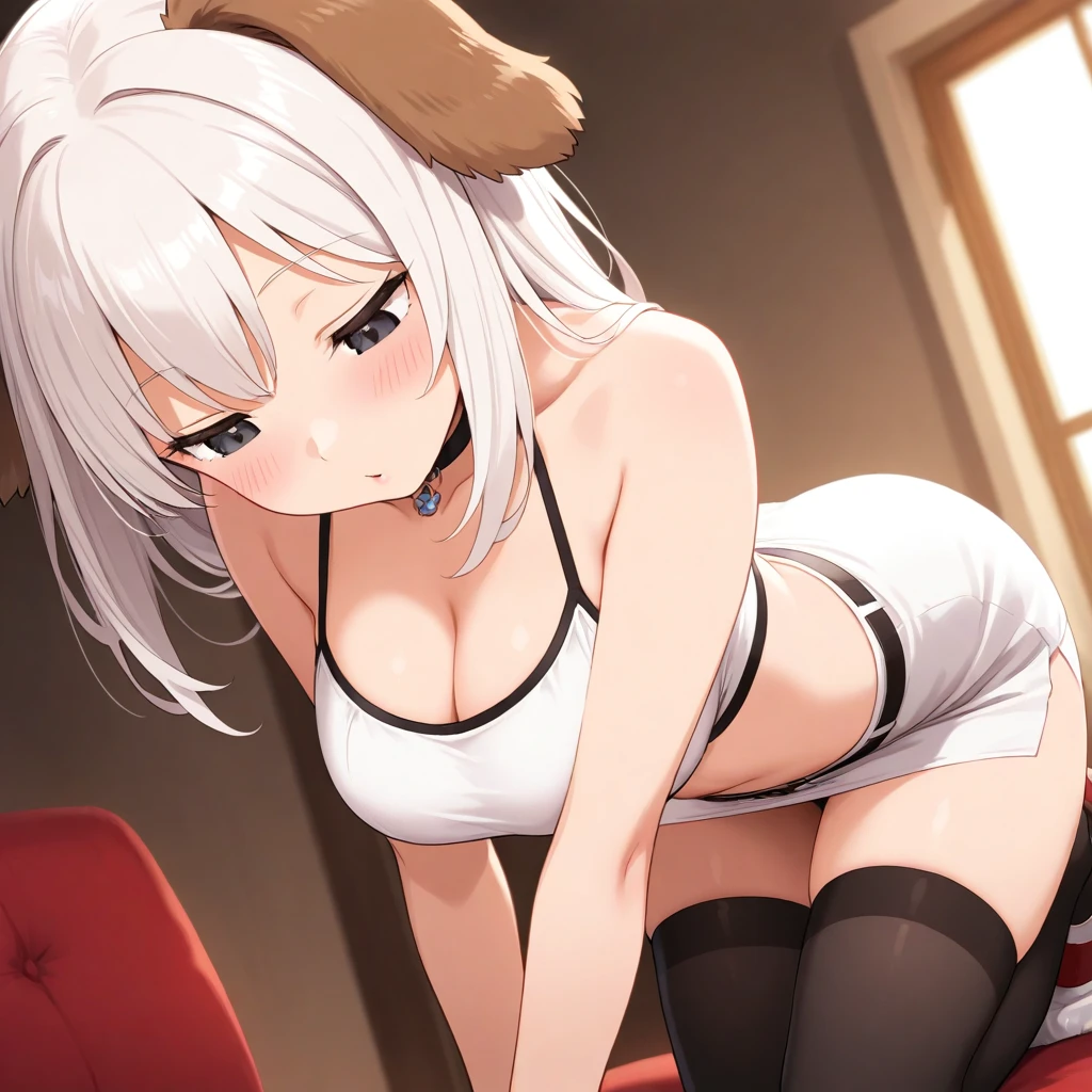 견주아