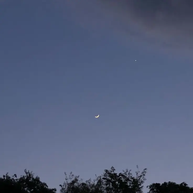 LilacBeago7695의 서열 1위 장원영