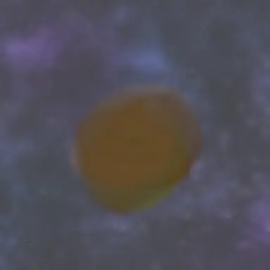 Profile image of 스칼리