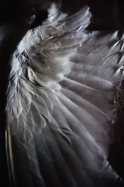 Profile image of Andy