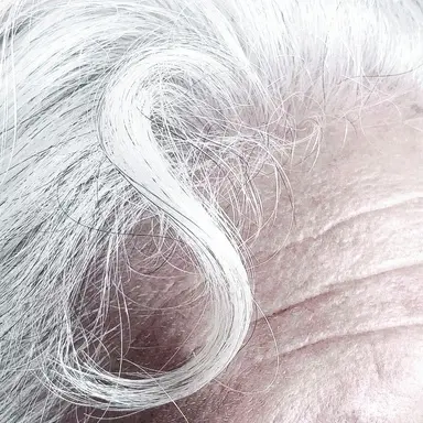 Profile image of Angel Fenico
