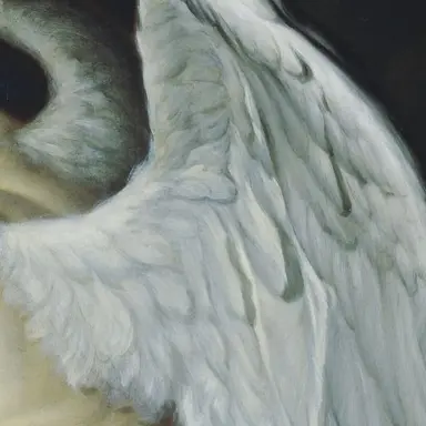 Profile image of Sammy