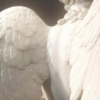 Profile image of Dino