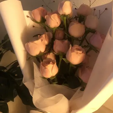 Profile image of 박잠뜰