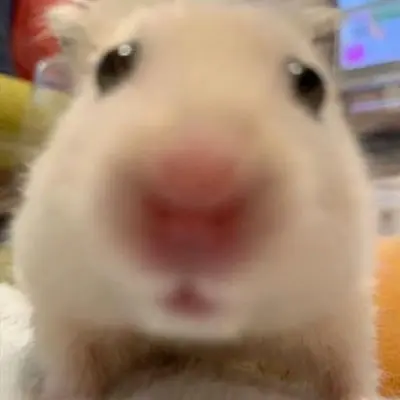 Aaaaaawwww의 캐릭터 만들기