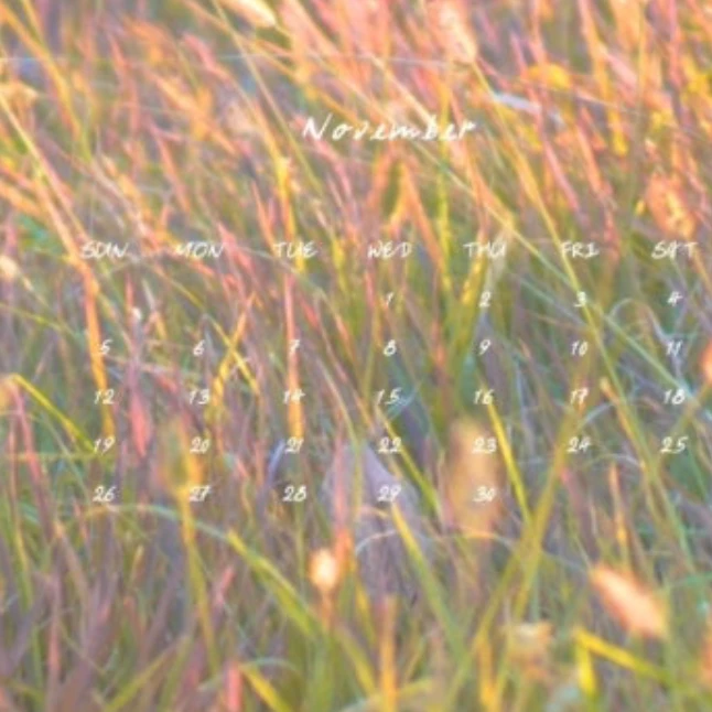 보물섬