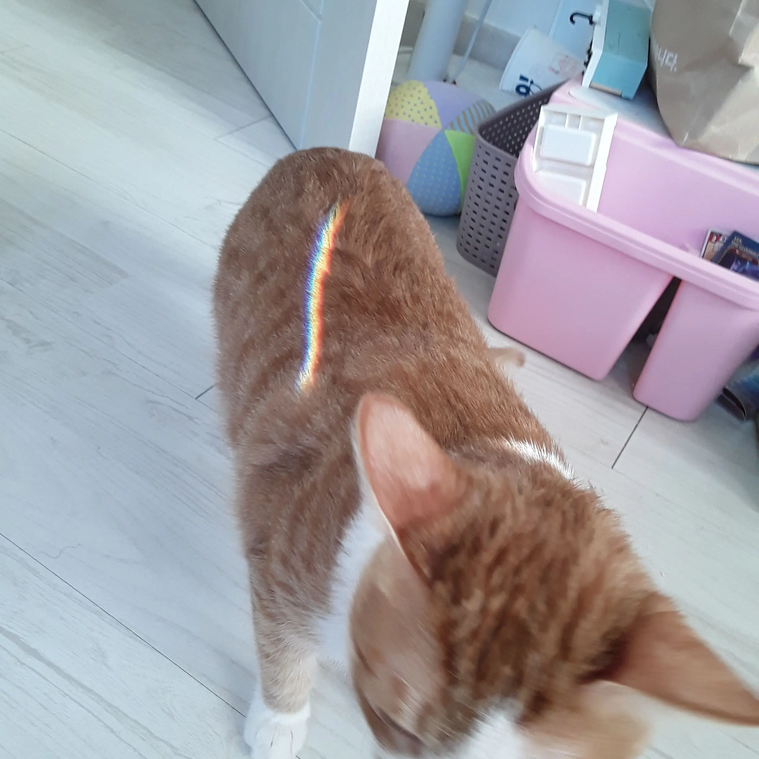 viok0의 얼공만 안한 유튜버들끼리 모임회(?)