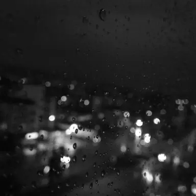 Profile image of 渡会雲雀