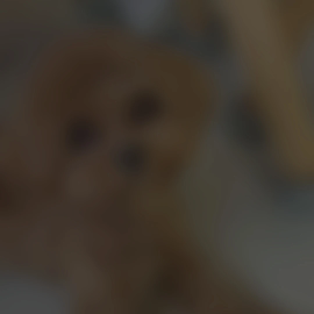 ㅡ