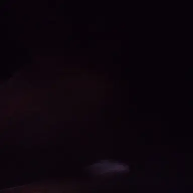 Profile image of 최선자