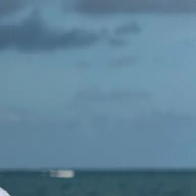 Profile image of 승유