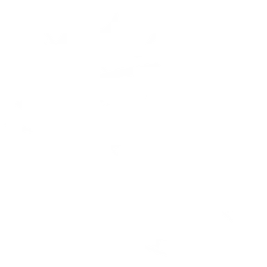 Profile image of Punch