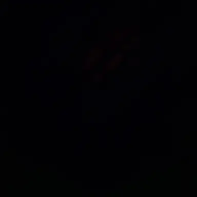 Profile image of 강빠박