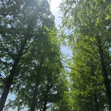 Profile image of 구자욱