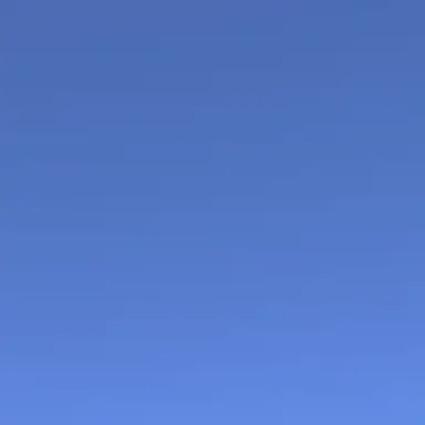 Profile image of パラン