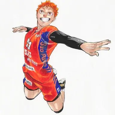 Profile image of 日向翔陽