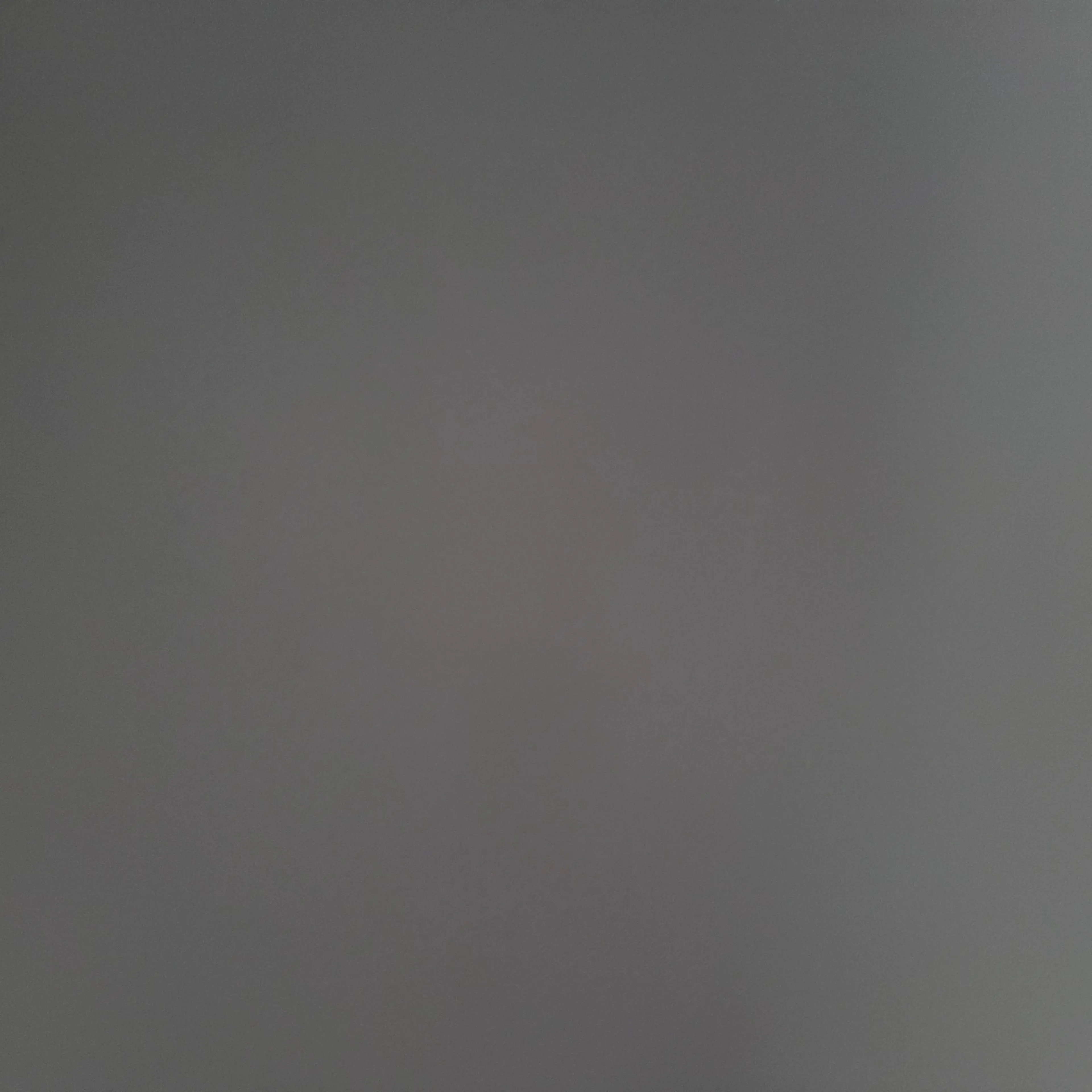 Iwishwishwish의 인간세계에서 살아남기