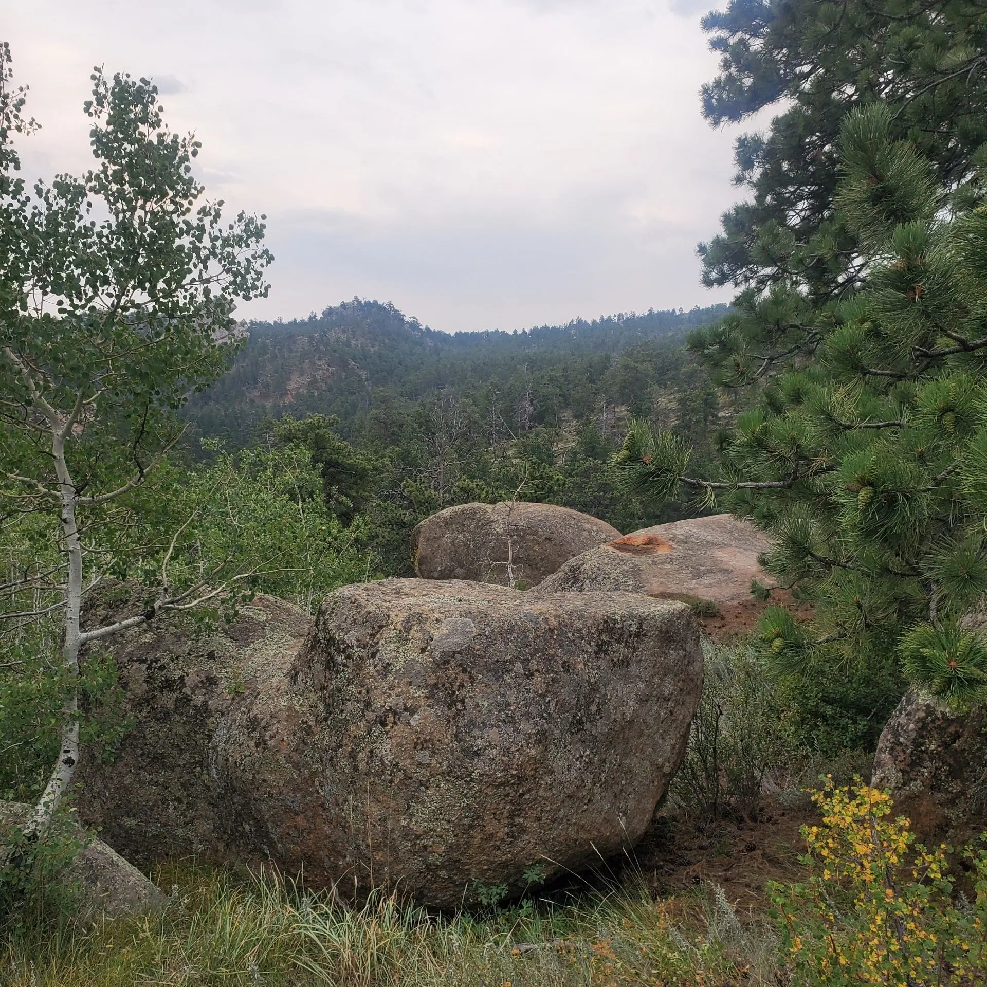 RoomyFloss6238의 Odd World