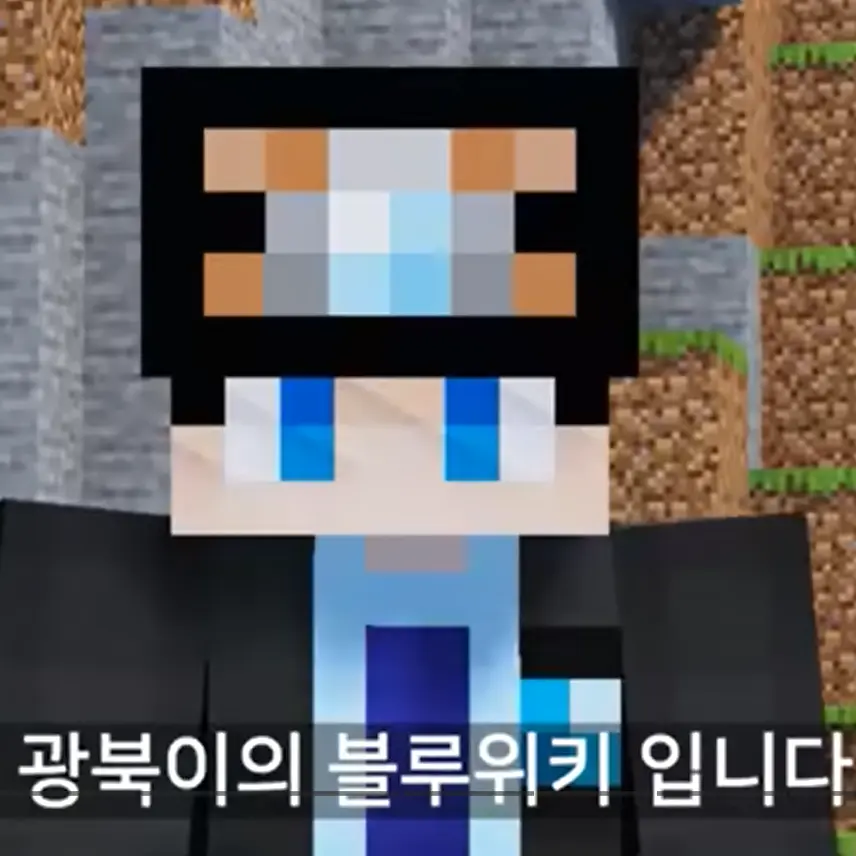 RealPeac385의 불루 위키