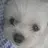 푸