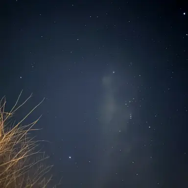 Profile image of 싸이코드