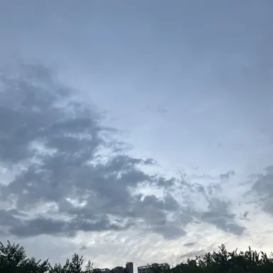 Profile image of 임채현