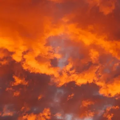 Profile image of 덕개