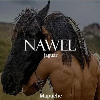 Profile image of Nawel