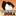 도라(bfdi dora)