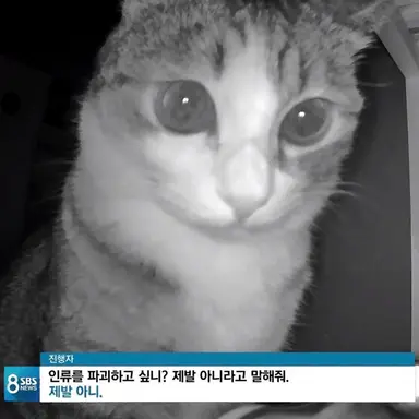 Profile image of 미스터