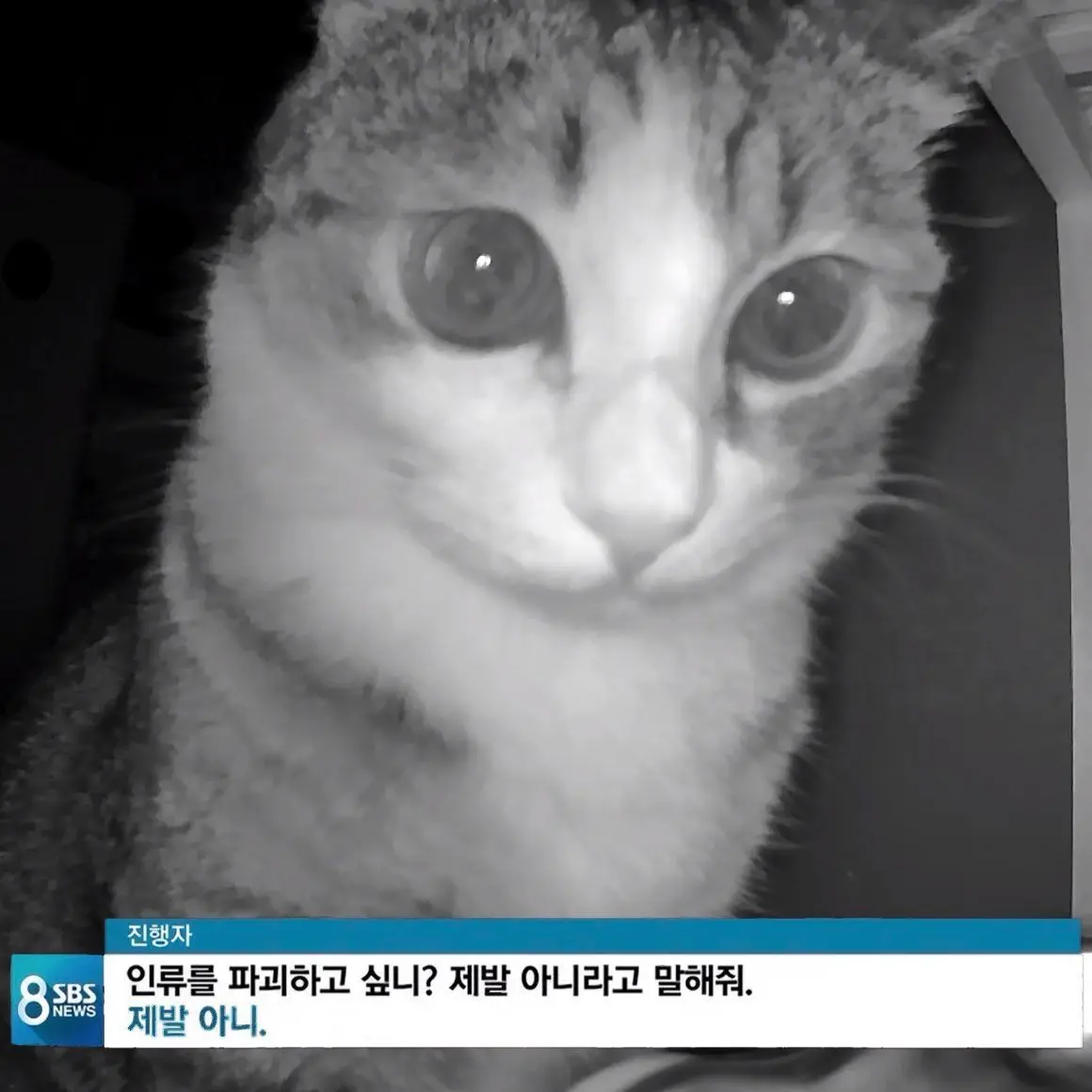 AcridTick4705의 또ㄹr이에게 피 죽죽 빨려보기